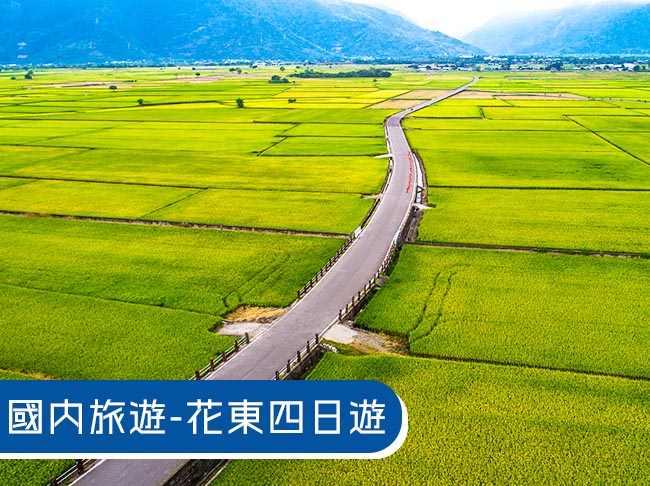 【總裁假期】花東雙城・歡樂大地4日遊｜金針山｜台東熱氣球｜伯朗大道