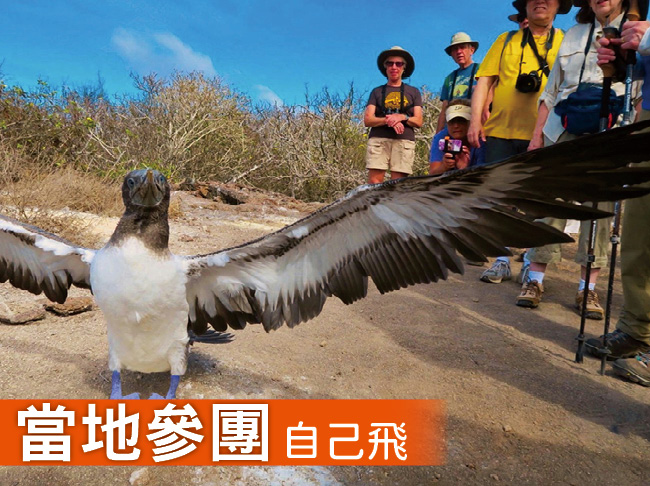 加拉帕戈斯群島跳島生態探索之旅