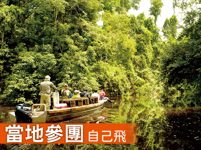 秘魯亞馬遜河輪5天低水位之旅
