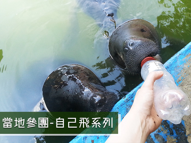 祕魯亞馬遜河輪5天低水位之旅